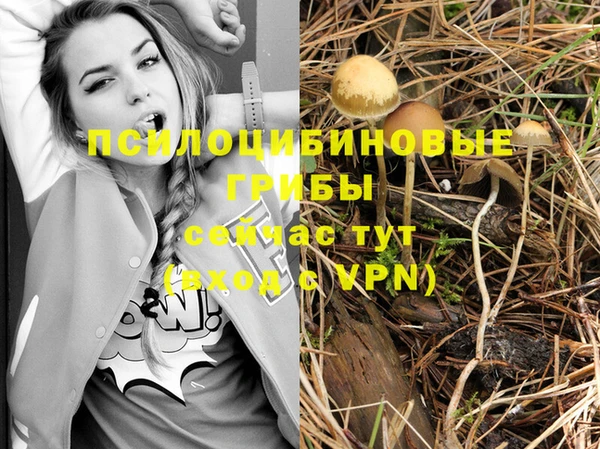 марки nbome Лагань