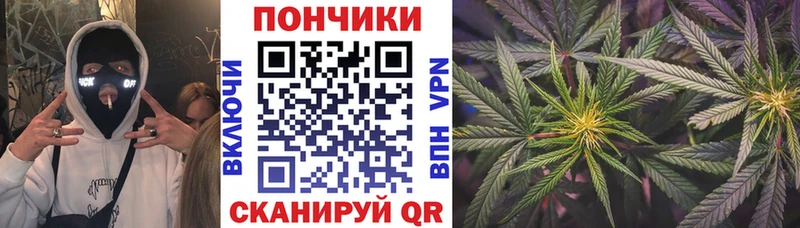 где купить наркоту  Рыльск  Шишки марихуана тримм 